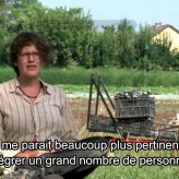 La stratégie des concombres tordus